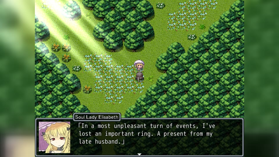 Elisabeth discussing the missing ring
